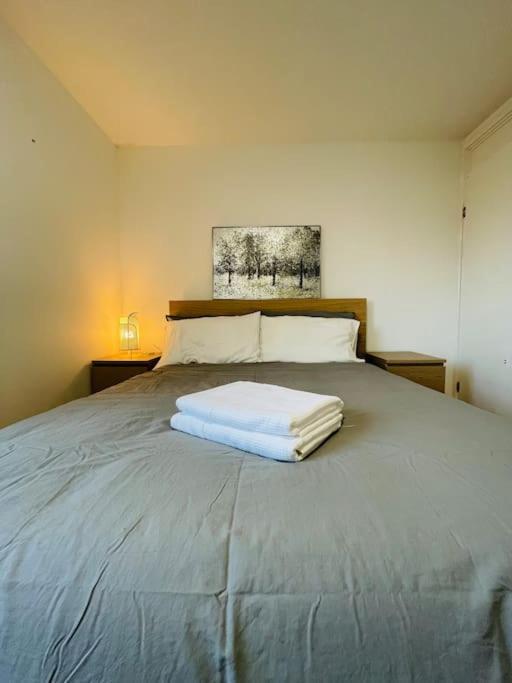 Lovely Duplex Apartment In Edinburgh City Centre Exteriör bild